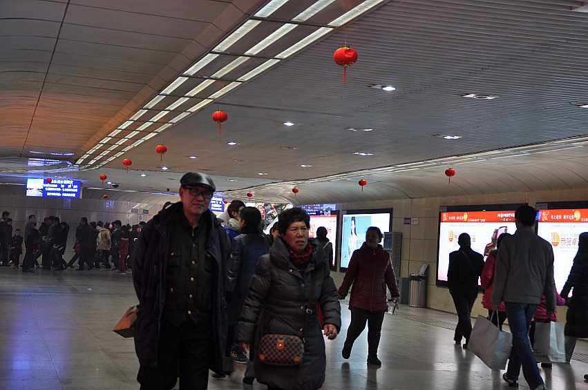 DSC_0095_conew1.jpg
