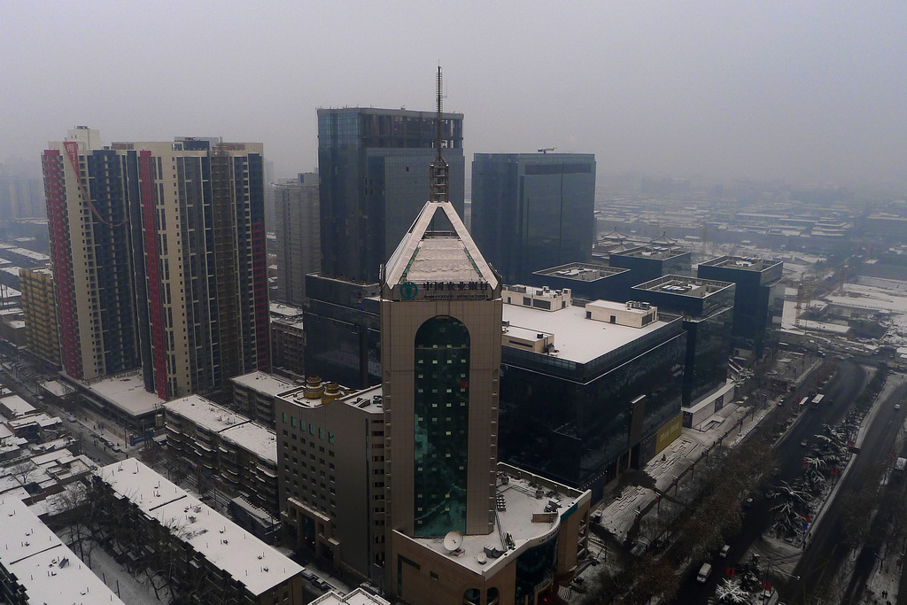 P1260056.jpg