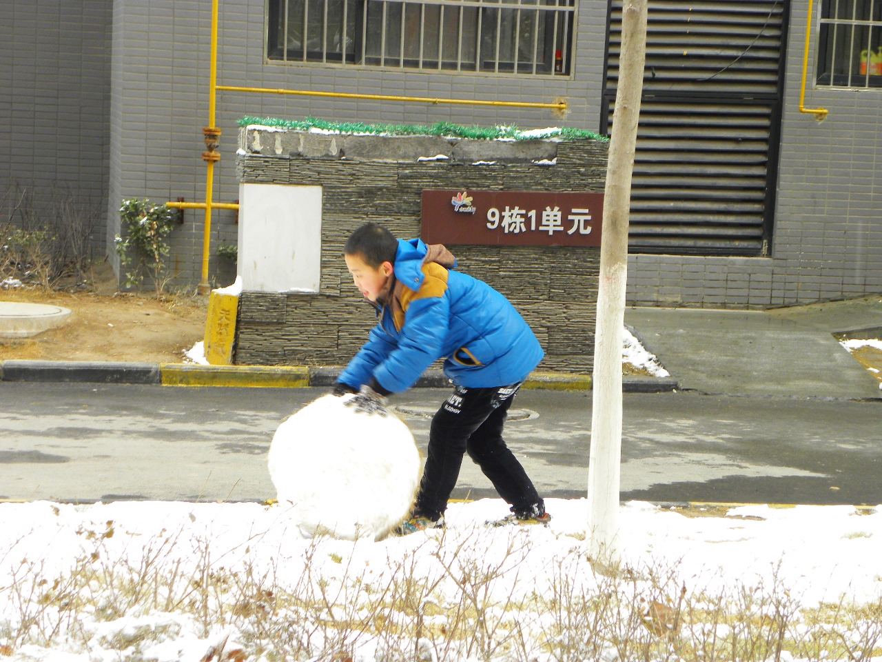DSCN4808.JPG