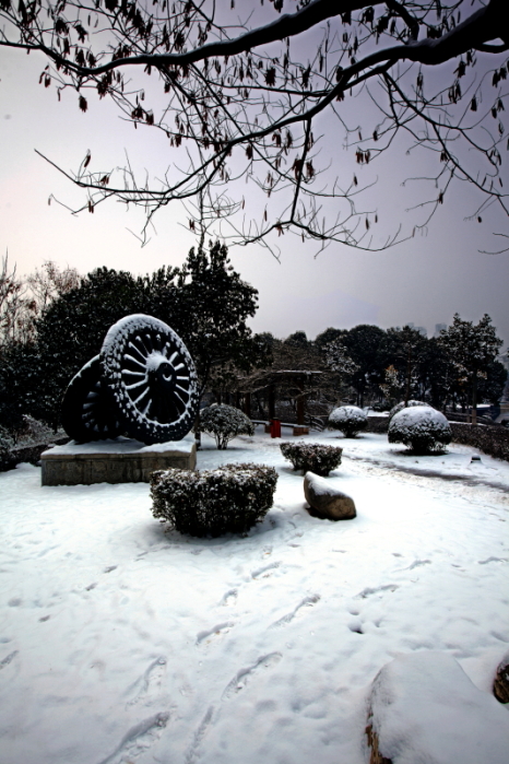 DPP_0014.JPG