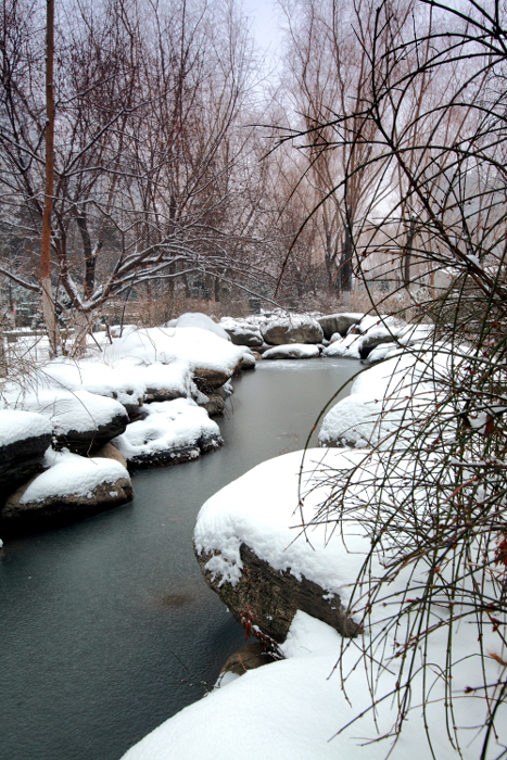 DPP_0011.jpg