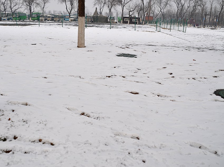 DSC_0001_conew1.jpg
