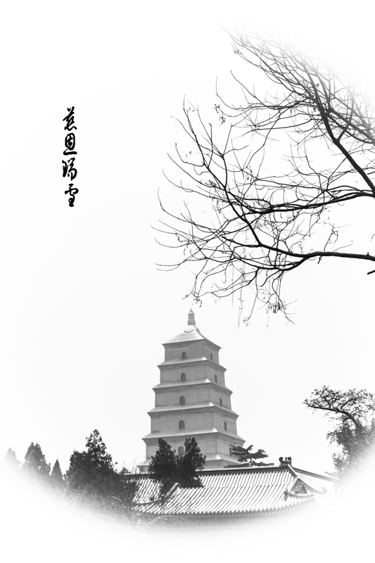 IMG_8652-编辑-2.jpg
