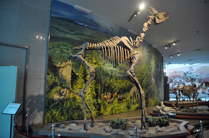 DSC_0039_conew1.jpg
