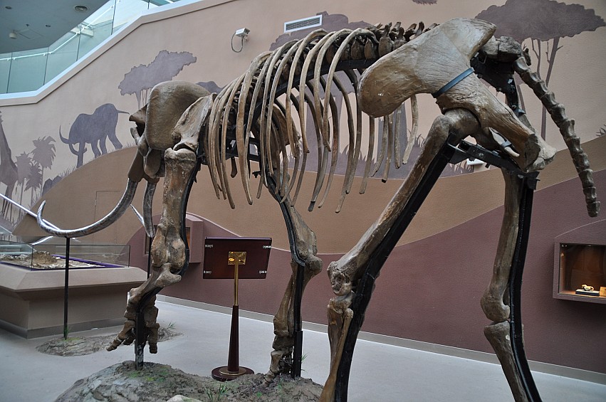 DSC_0044_conew1.jpg