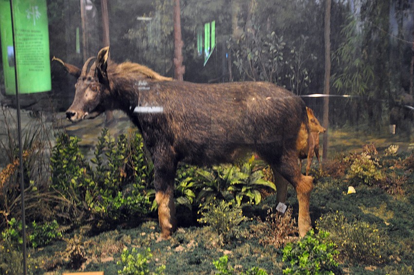 DSC_0047_conew1.jpg