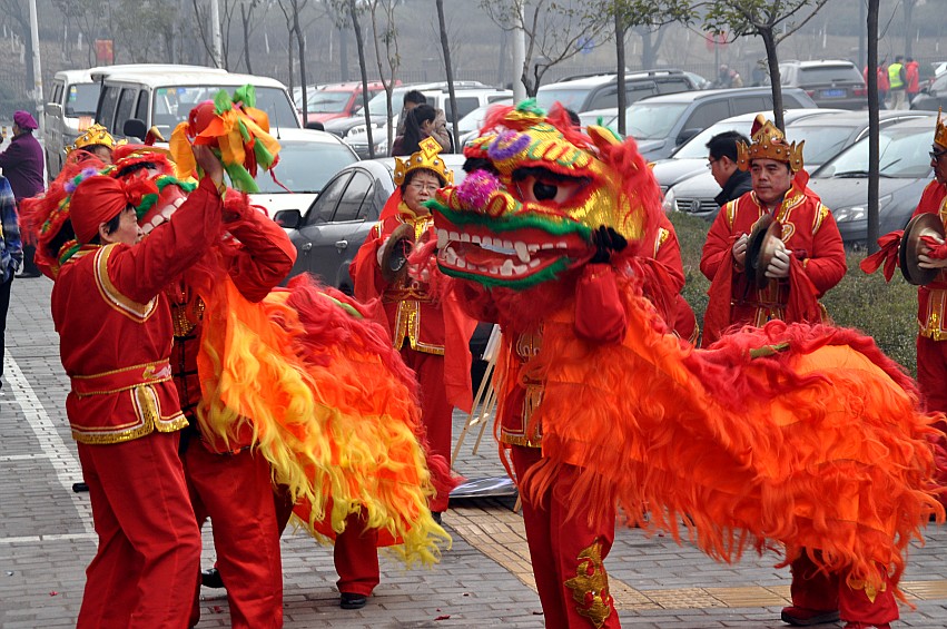 DSC_0026_conew1.jpg