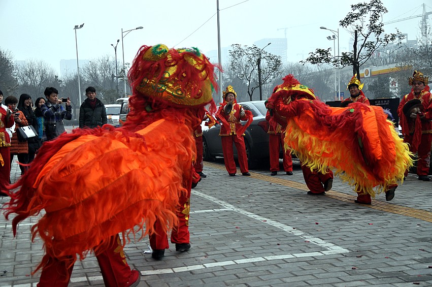 DSC_0046_conew1.jpg