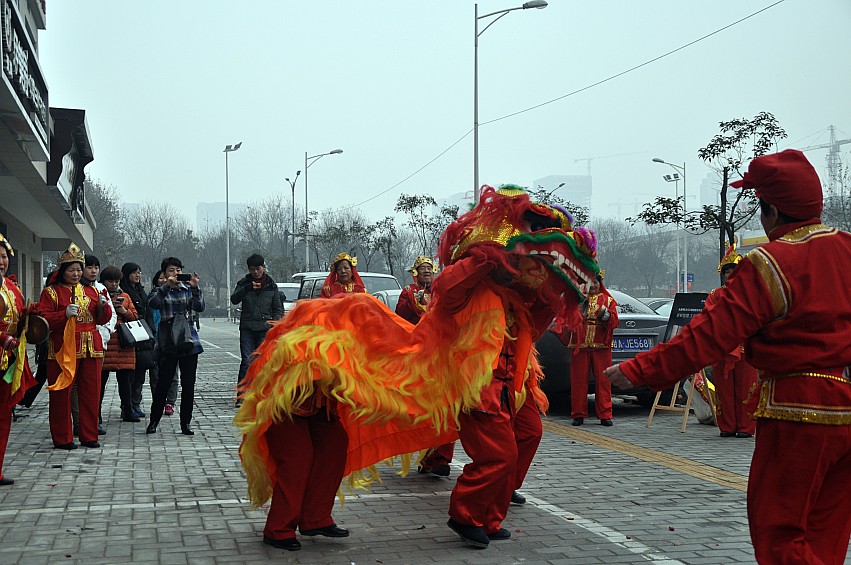 DSC_0047_conew1.jpg