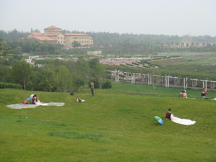 DSC02607_副本.jpg