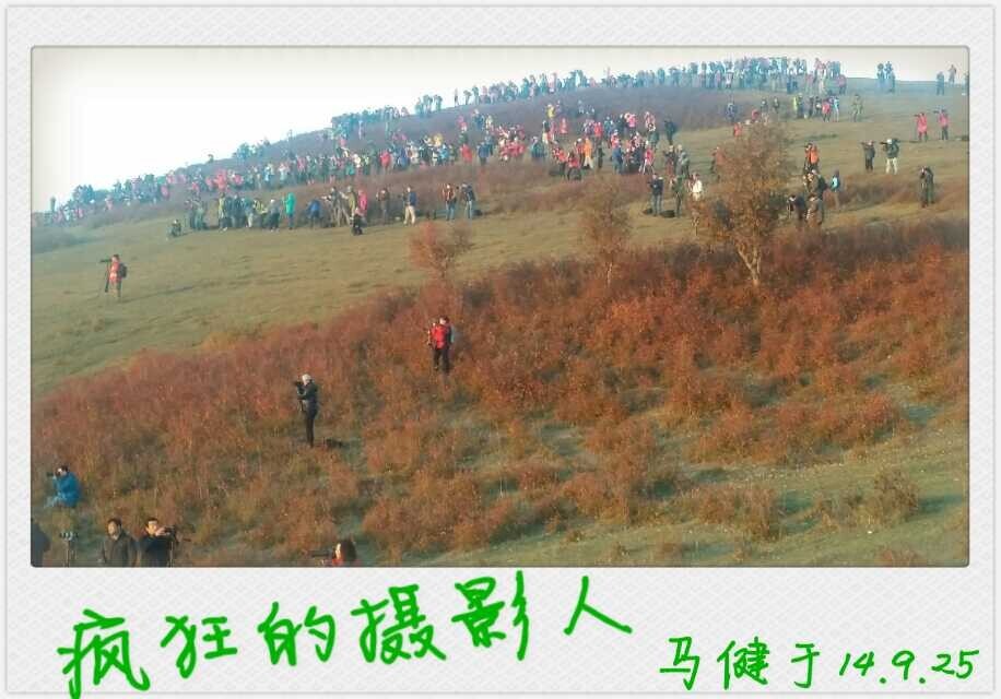 QQ图片20140925092108.jpg