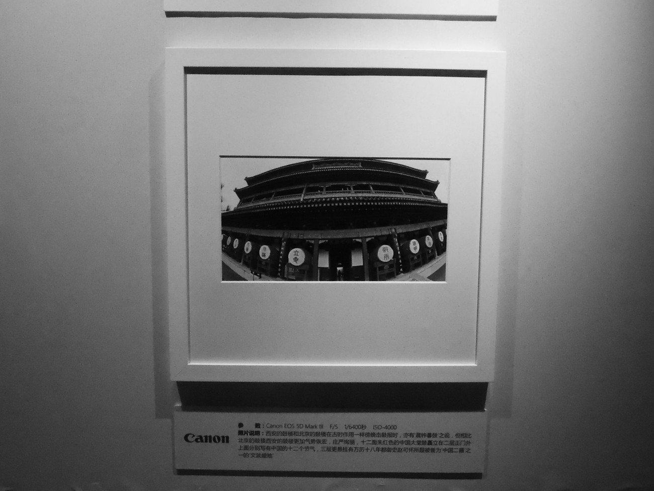 DSCN5218_副本.jpg