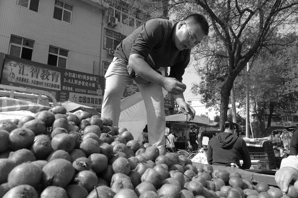 P1330901.jpg