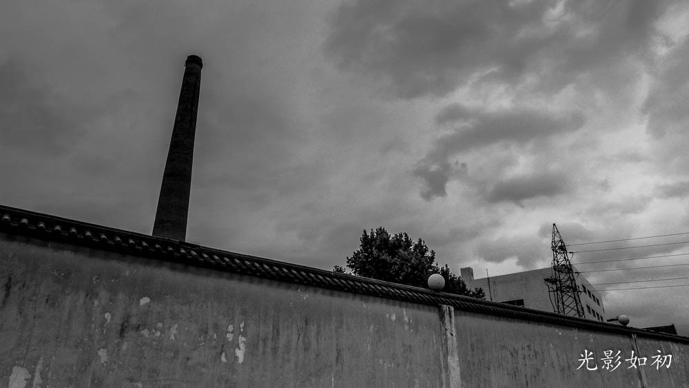 P1040981.jpg
