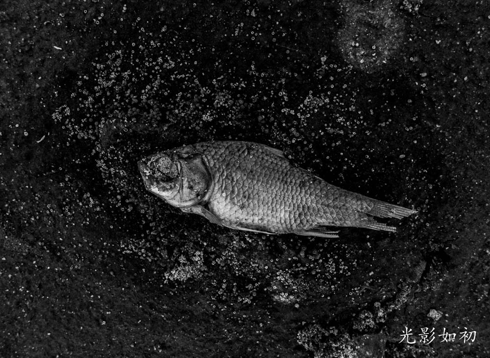 P1050140.jpg