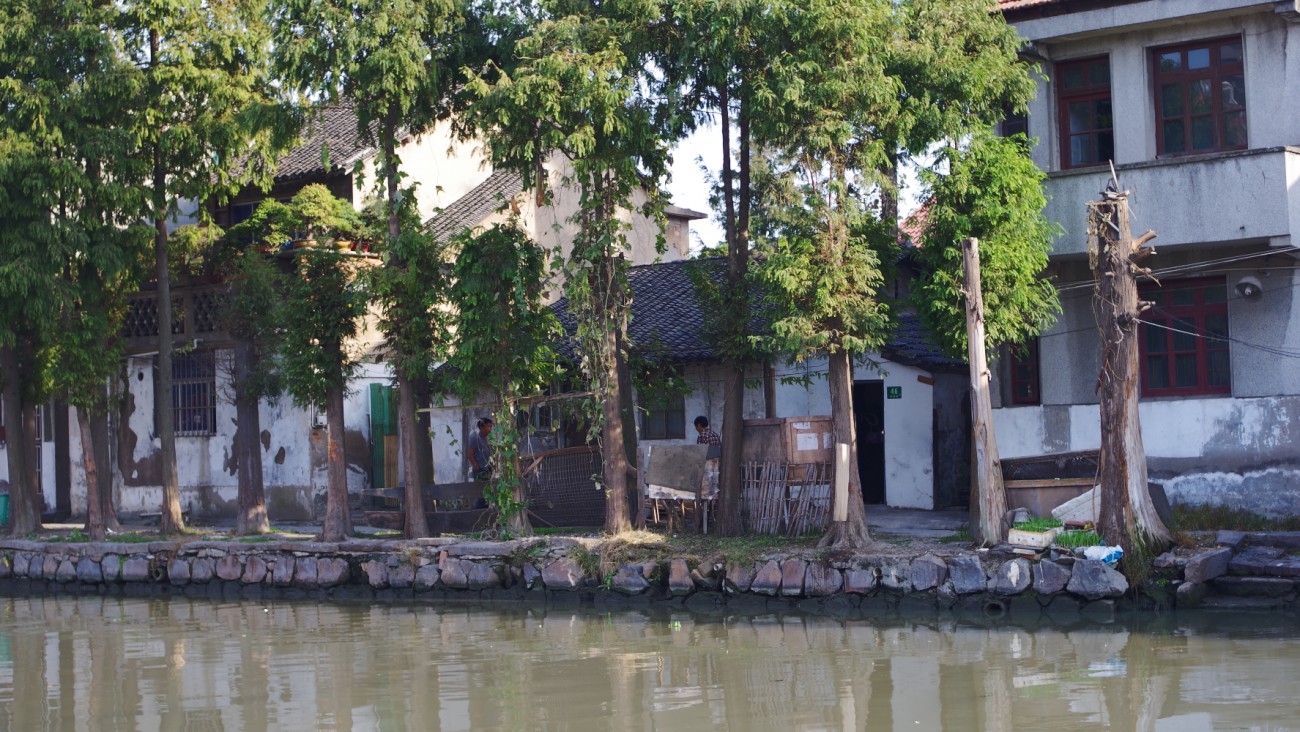 IMGP9921.jpg
