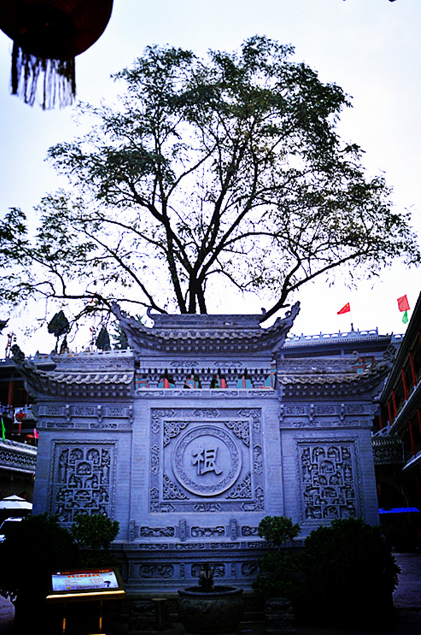 DSC_0528_副本.jpg