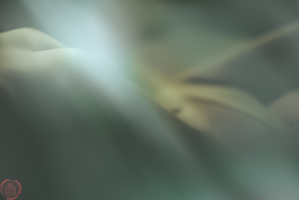 DSC_3689副本.jpg