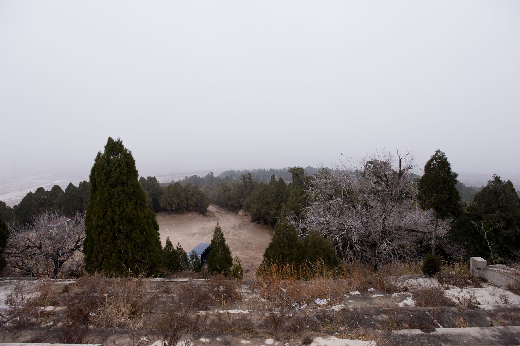 DSC_4511133.jpg