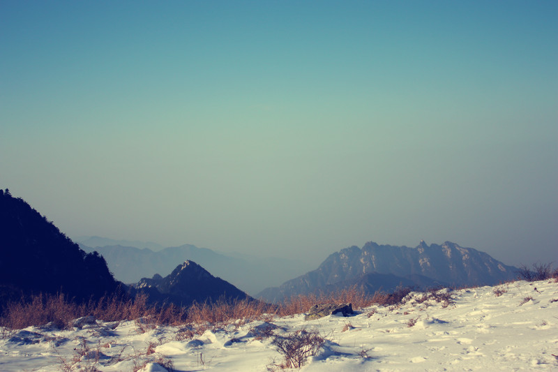 IMG_1533_副本.jpg
