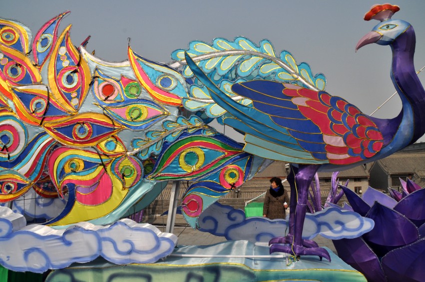 DSC_0028_conew1.jpg
