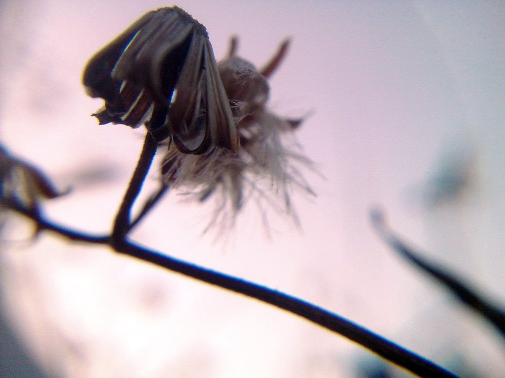 CYMERA_20150209_17135.jpg