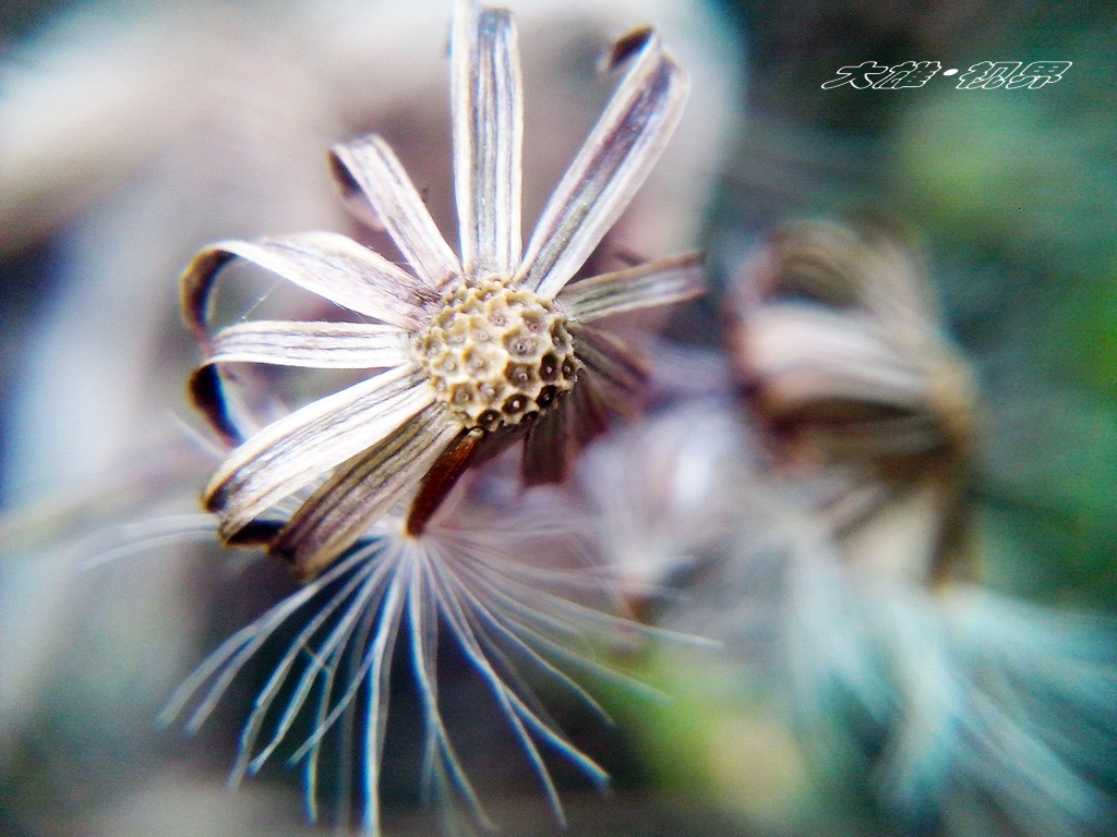 CYMERA_20150209_170935水印.jpg