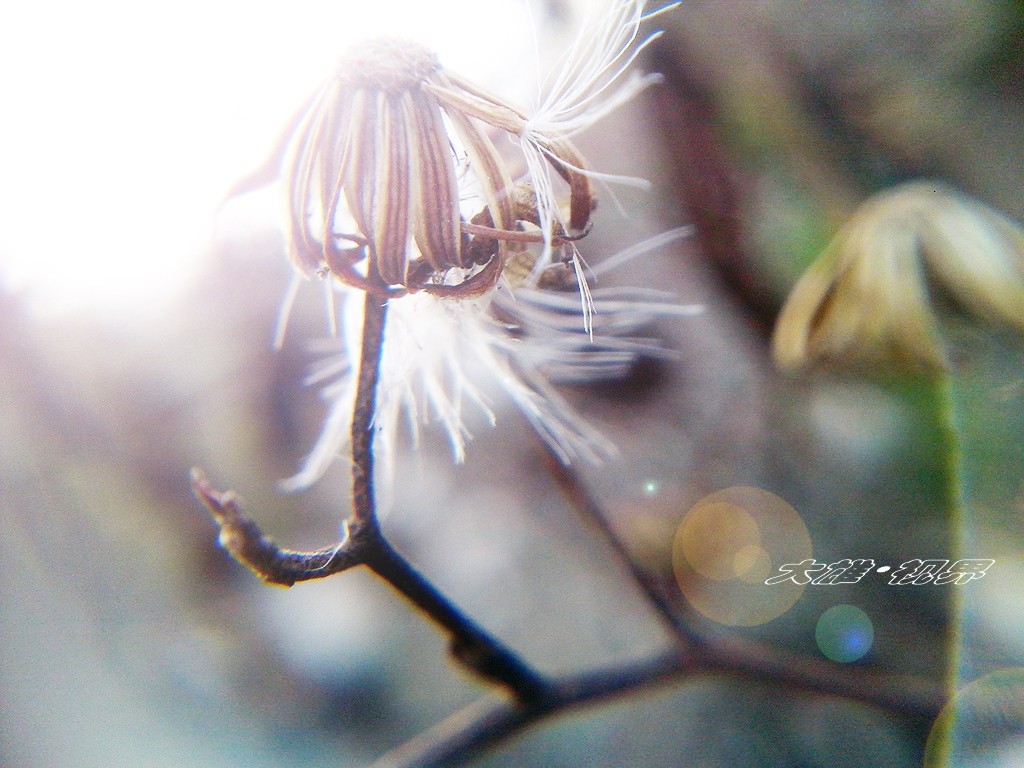 CYMERA_20150209_171703水印.jpg
