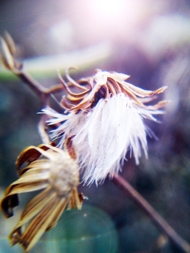 CYMERA_20150209_171904.jpg