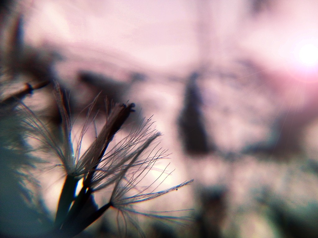 CYMERA_20150209_172045.jpg
