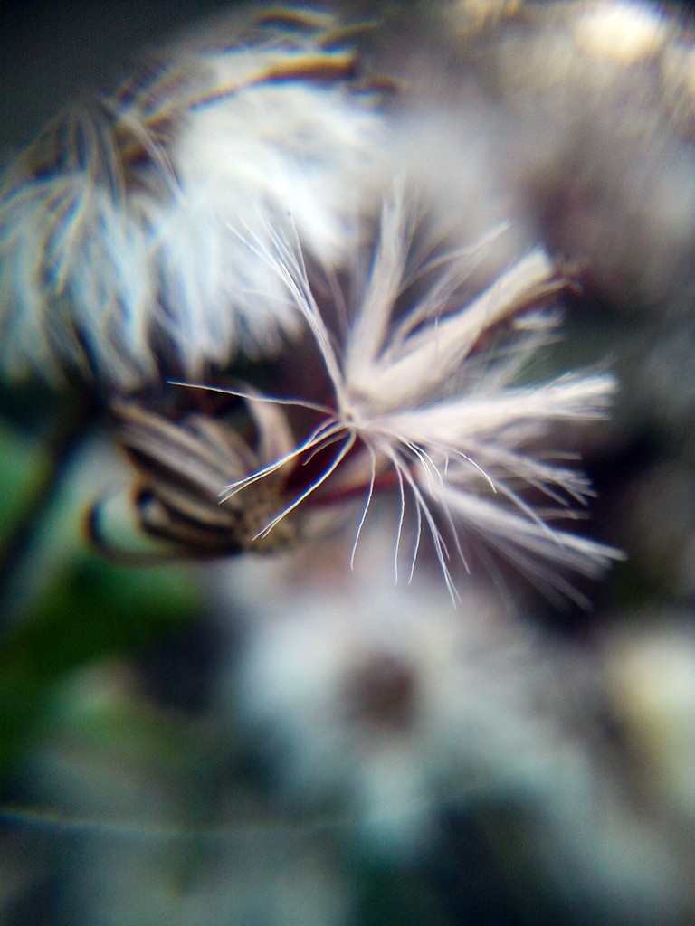 CYMERA_20150209_172143.jpg