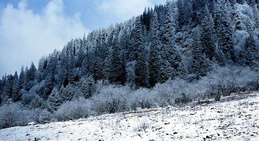 DSC09618_副本1压.jpg