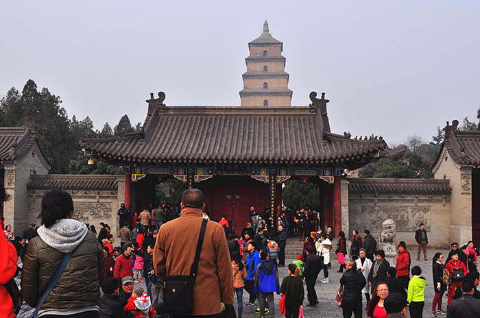 DSC_0008_副本.jpg