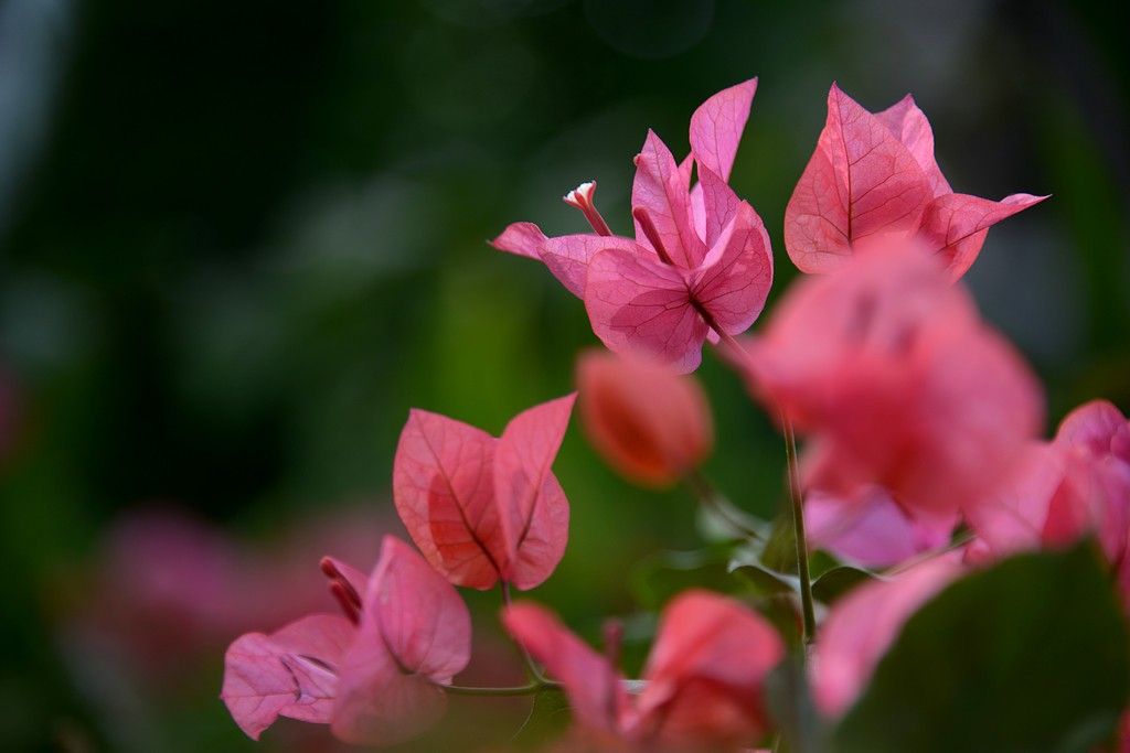 DSC_3573.JPG