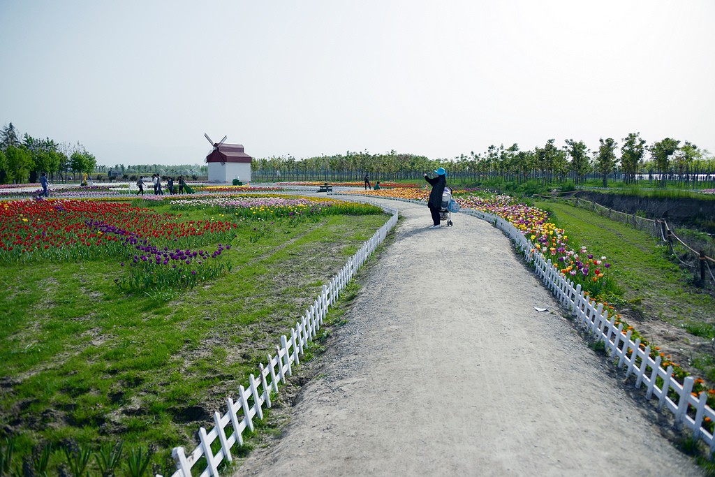 DSC_3575.JPG