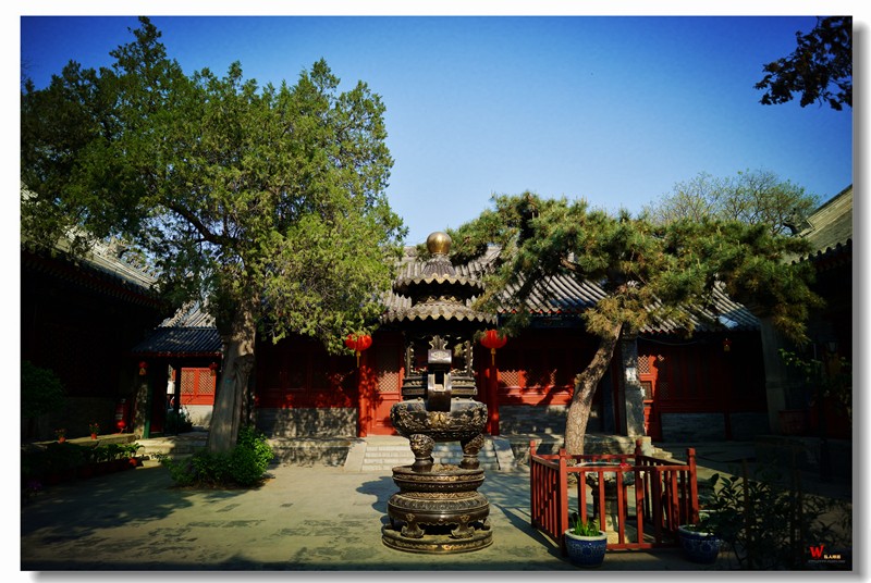 DSC_9602_副本.jpg