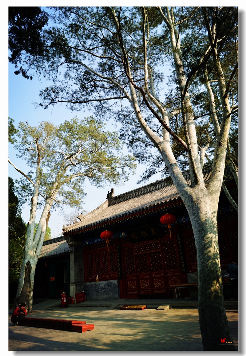 DSC_9665_副本.jpg