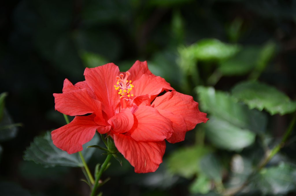 DSC_9294副本.jpg