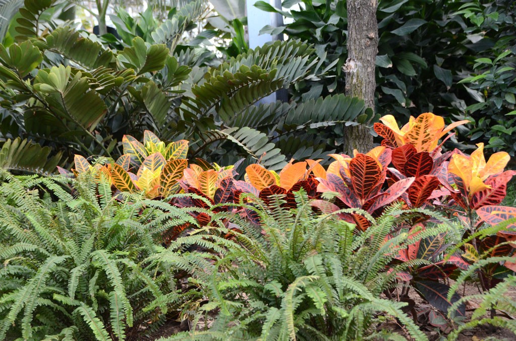 DSC_9311副本.jpg
