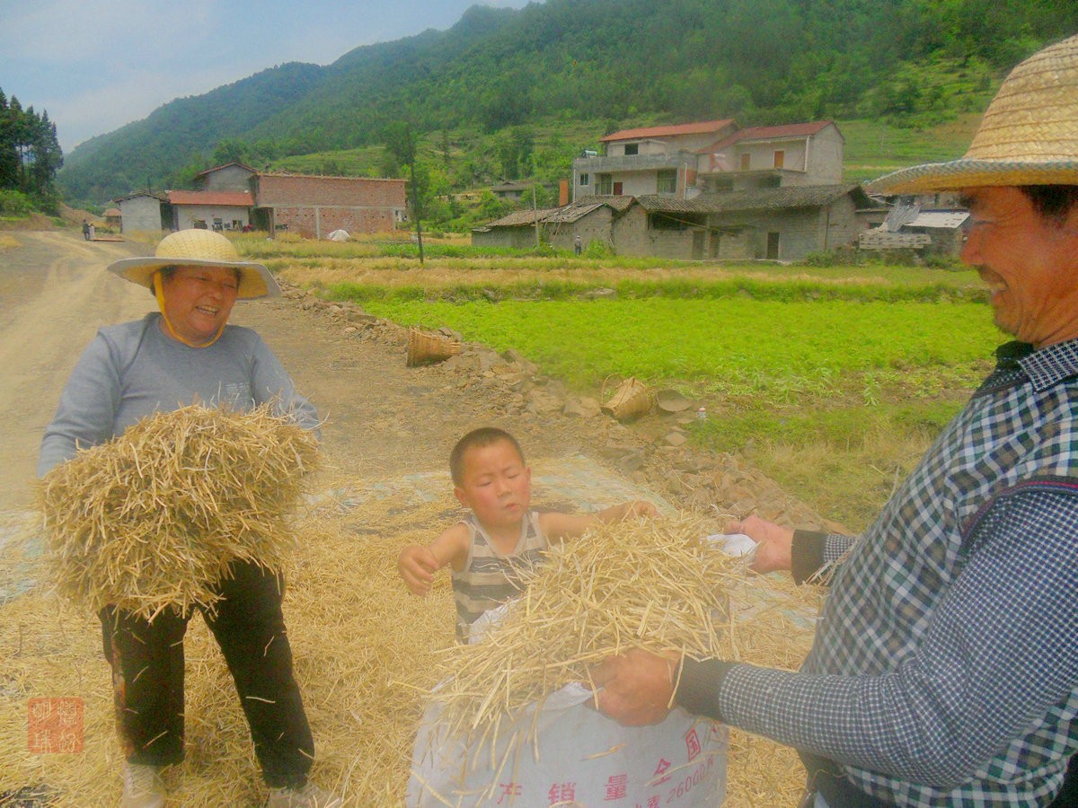 SDC16650_副本.JPG