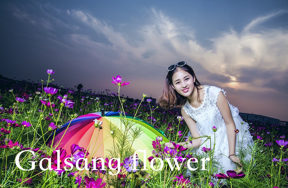TY5A4239.jpg