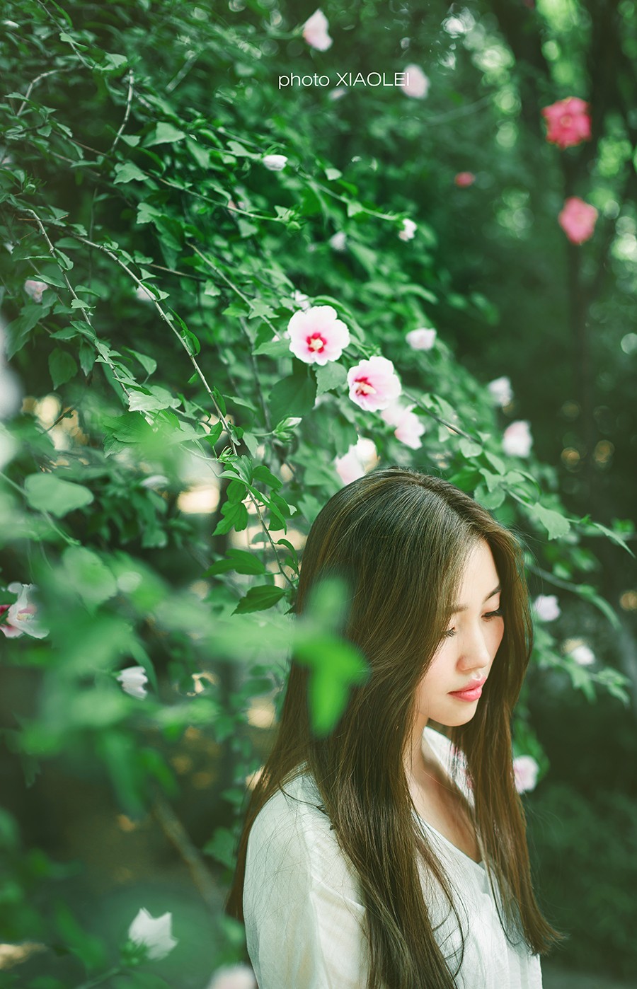 CF7A2705_1副本.jpg