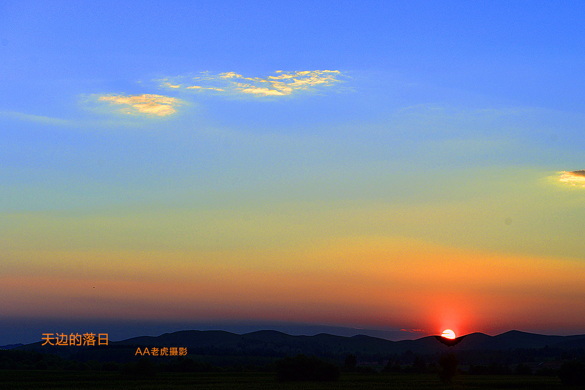 DSC_5615_副本.jpg