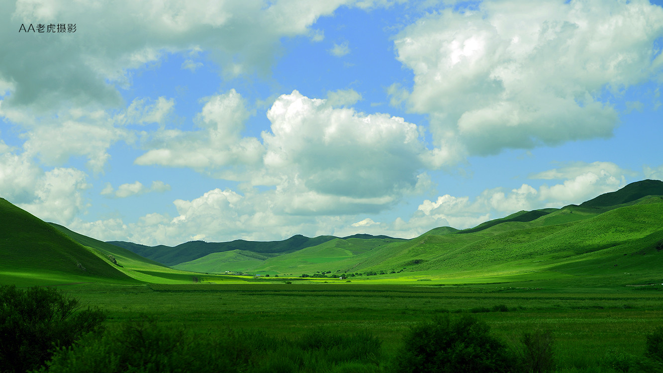 DSC_5598_副本.jpg