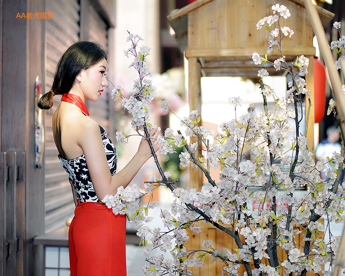 DSC_6383_副本.jpg
