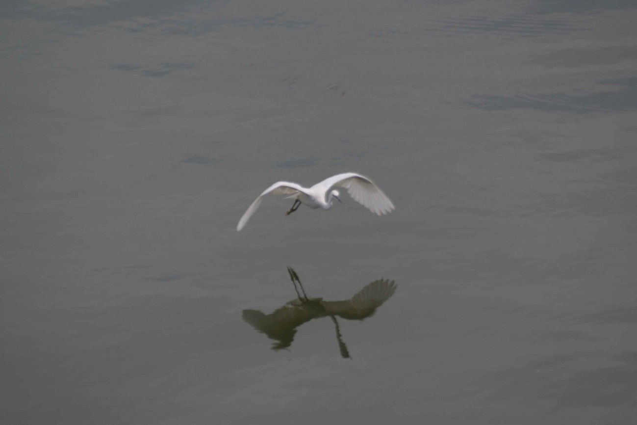 LXC31453.JPG