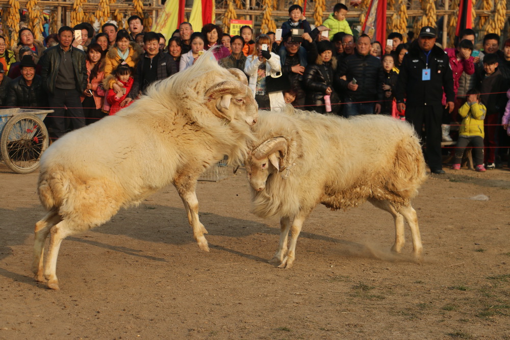 IMG_1221.jpg