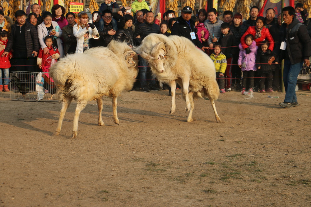 IMG_1220.jpg