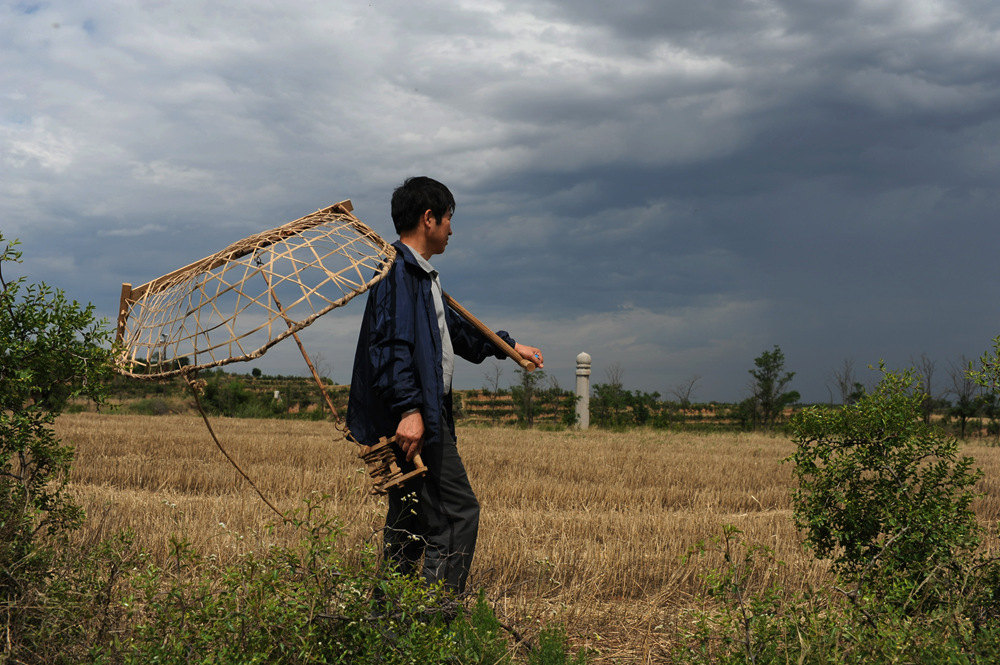 D7B_6945.jpg