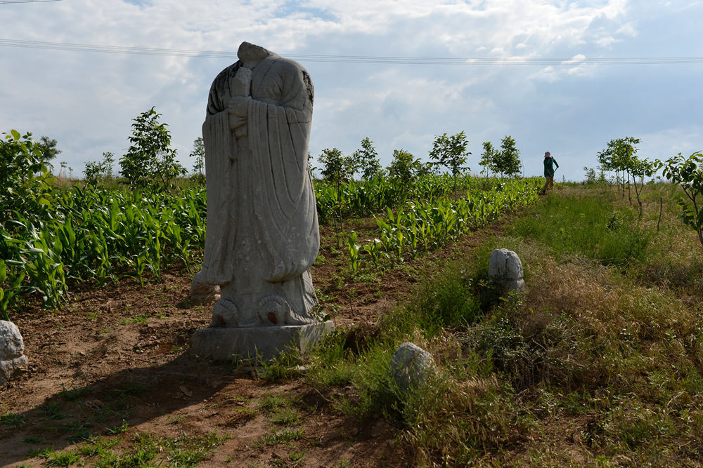 D4A_3855.jpg